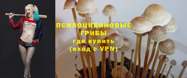 прущие крисы Алексеевка