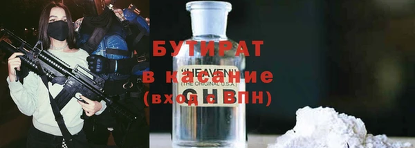 гашик Алексин