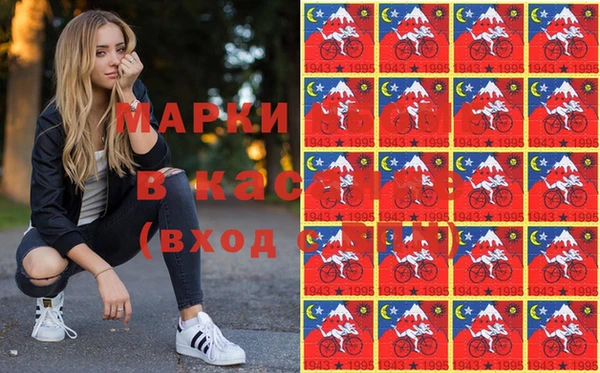 гашик Алексин