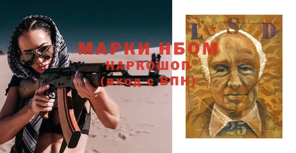 гашик Алексин